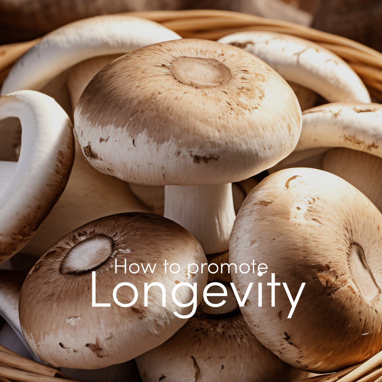 How To Promote Longevity